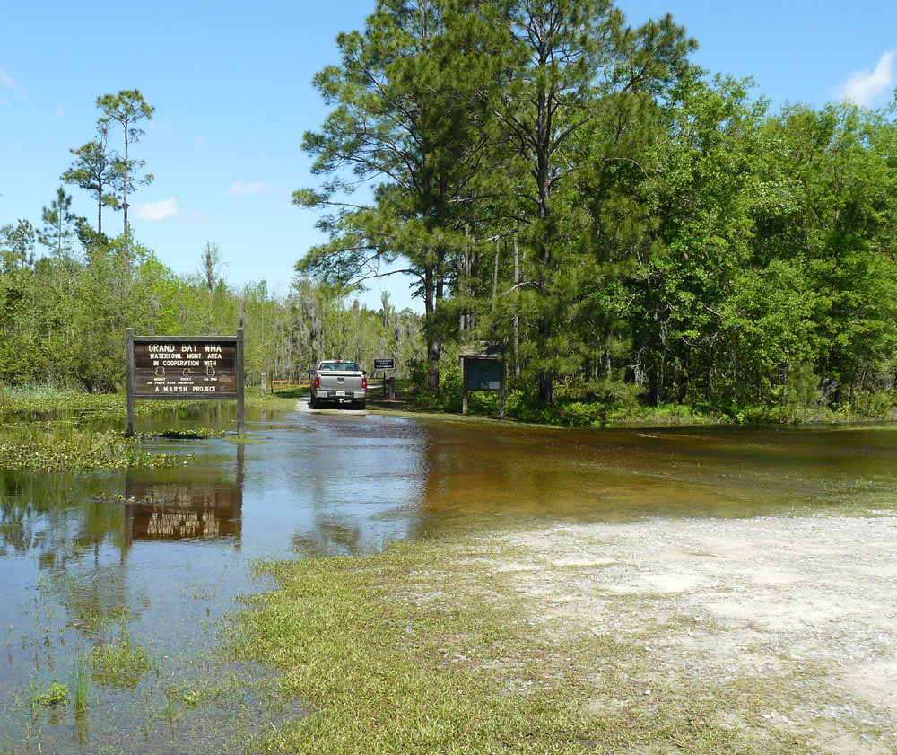 R-3 Water Activities in Valdosta